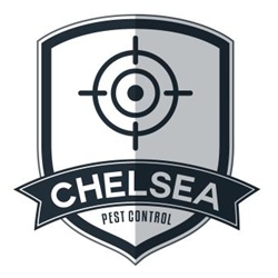 Image for Chelsea Pest Control with ID of: 6549369