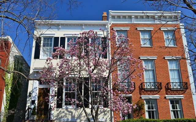 Image for Ceci & Mike | The Plurad Team with ID of: 5865857