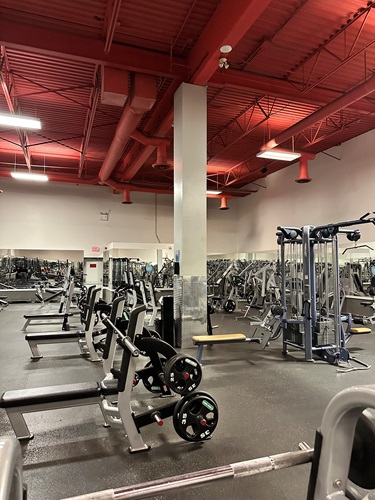 Image for Fitness World with ID of: 5870027