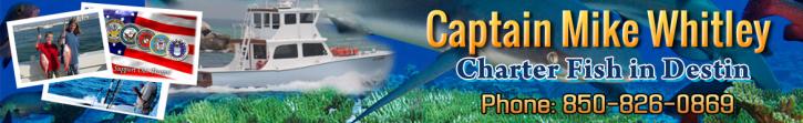 Image for Pescador III with ID of: 655019