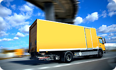 Image for The Incredible Movers Inc with ID of: 655040