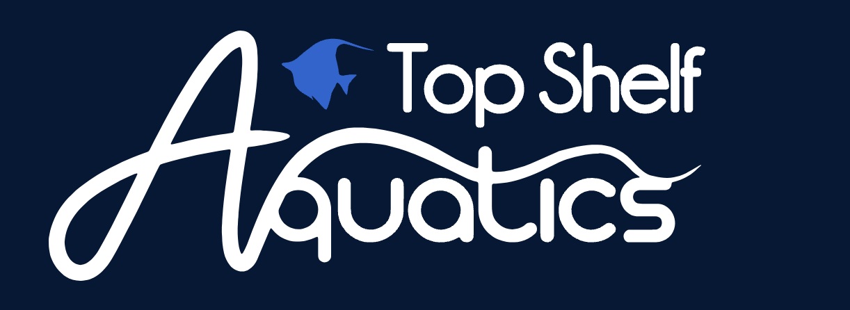 Image for Top Shelf Aquatics with ID of: 6551562