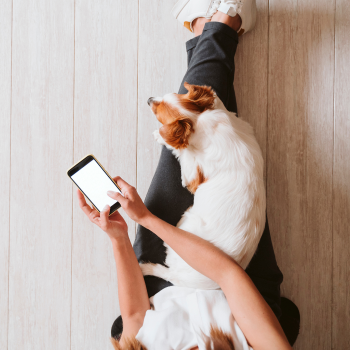 Image for Up Up Dog Training with ID of: 5872726