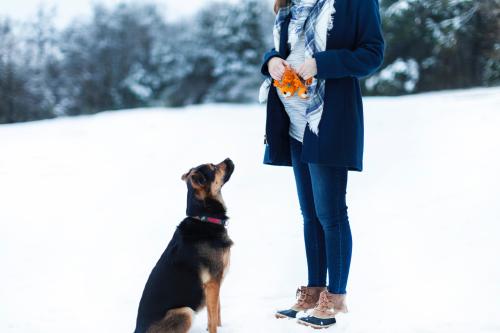 Image for Up Up Dog Training with ID of: 5872727