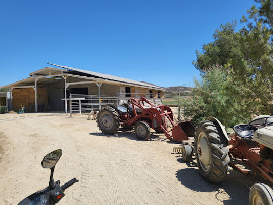 Image for Flavin Farms with ID of: 5873748