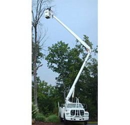 Image for TD’s Tree Service with ID of: 6554255