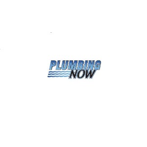 Image for Plumbing Now with ID of: 6554690