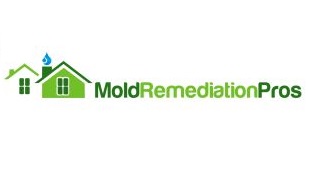 Image for Mold Remediation Pros with ID of: 655526