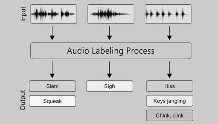 Image for audio annotation services with ID of: 6555291