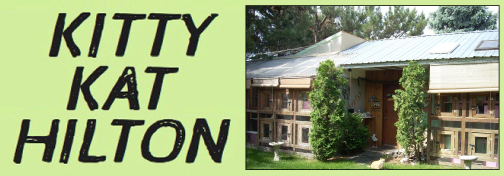 Image for Kitty Kat Hilton with ID of: 5875114