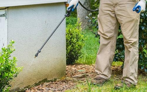 Image for Pest Control Consultants with ID of: 5875389