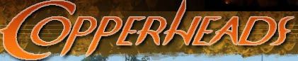 Image for Asheboro Copperheads: Get Involved with ID of: 655681