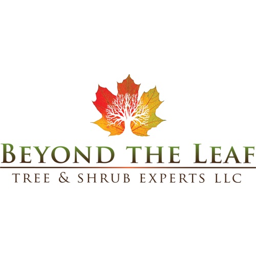 Image for Beyond The Leaf Tree and Shrub Experts with ID of: 6557405