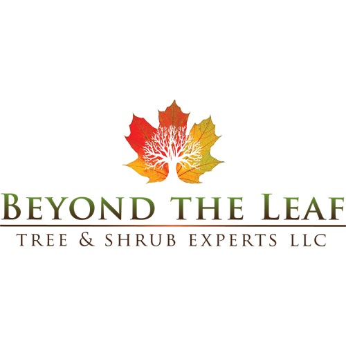 Image for Beyond The Leaf Tree and Shrub Experts with ID of: 6558576