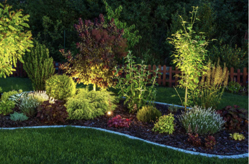 Image for Bridgewater Tree Farm Inc. with ID of: 5878711