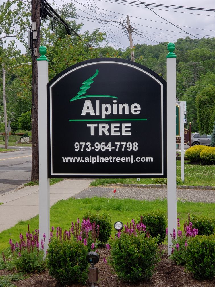 Image for Alpine Tree Service with ID of: 5878765