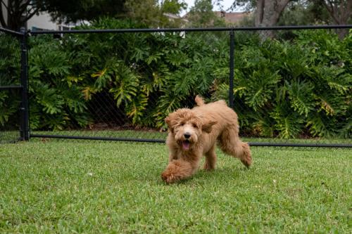 Image for Gainesville Fence & Deck Pros with ID of: 5880114
