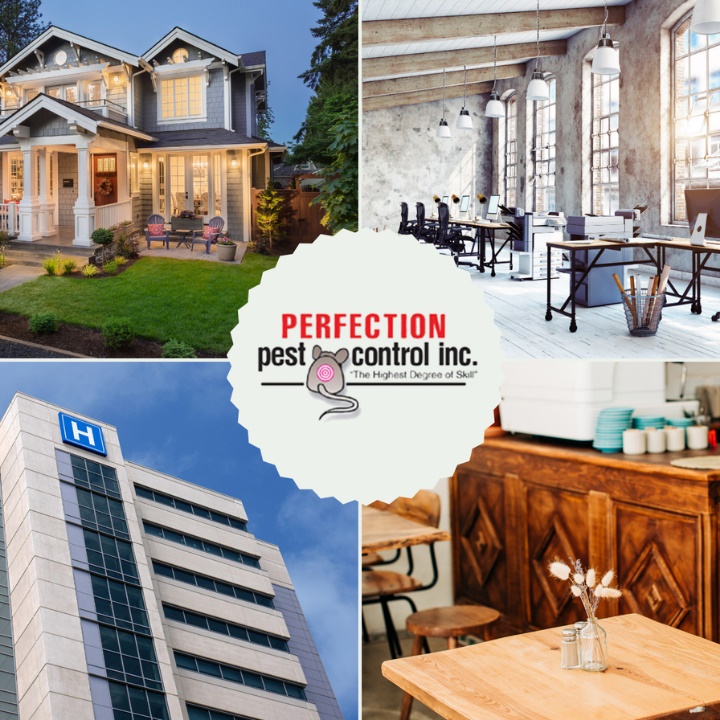 Image for Perfection Pest Control with ID of: 5881389