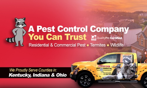 Image for Perfection Pest Control with ID of: 5881391