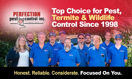 Image for Perfection Pest Control with ID of: 5881392