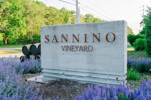 Image for Sannino Vineyard with ID of: 5882607