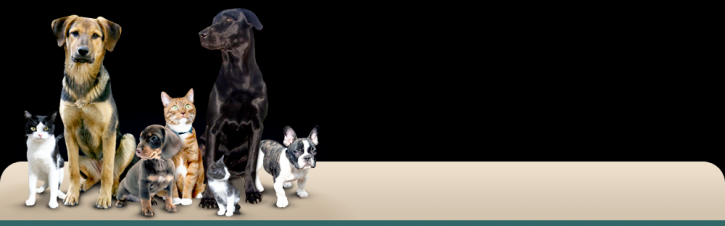 Image for Colonial Veterinary Clinic with ID of: 656098