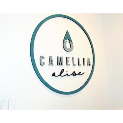 Image for Camellia Alise with ID of: 6564792