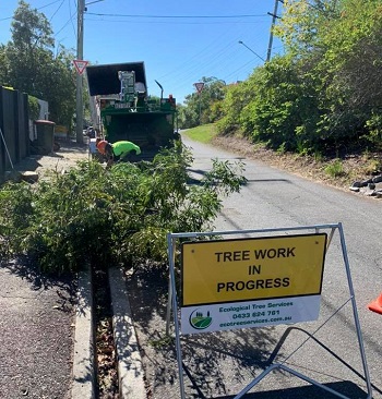 Image for Ecological Tree Services with ID of: 5890395