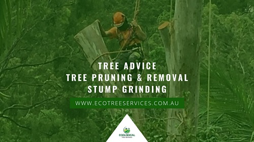 Image for Ecological Tree Services with ID of: 5890401