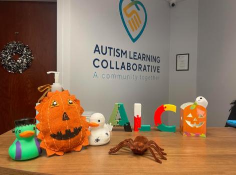 Image for Autism Learning Collaborative with ID of: 5892665