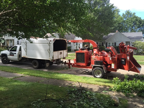 Image for Timberland Tree Services with ID of: 5893260
