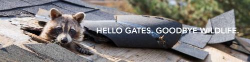 Image for AAA Gates Wildlife Control with ID of: 5896998