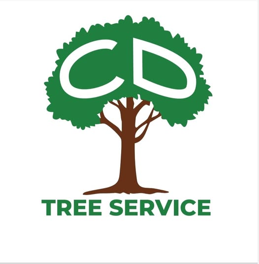 Image for CD Tree Service with ID of: 6572818