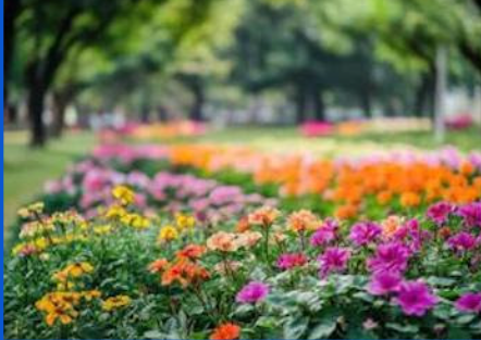 Image for Andrew's Landscape Design with ID of: 6572880
