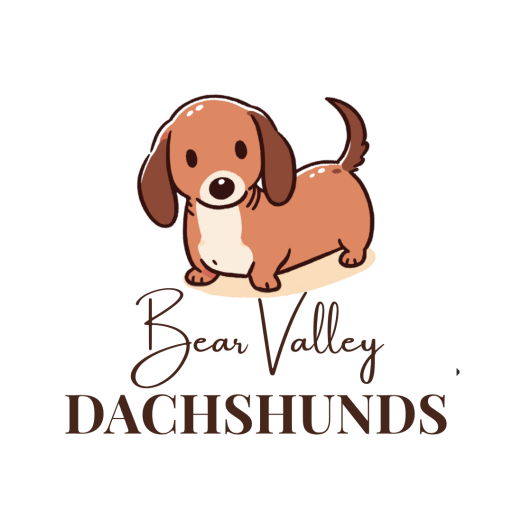Image for Bear Valley Dachshunds with ID of: 6575494