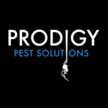 Image for Prodigy Pest Solutions with ID of: 6577996