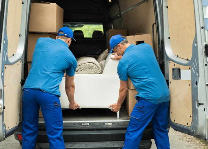 Image for InTransit Solutions LTD with ID of: 6578440