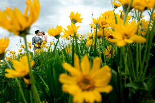 Image for Greener Visuals Photography with ID of: 5902551