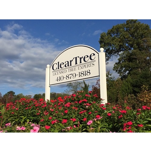 Image for ClearTree, LLC with ID of: 5905867