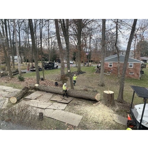 Image for ClearTree, LLC with ID of: 5905869