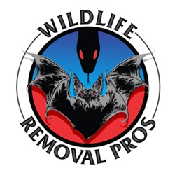 Image for Wildlife Removal Pros with ID of: 2763257