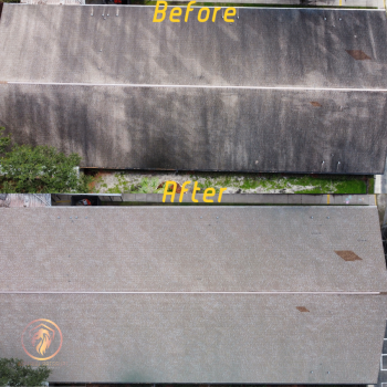 Image for Imperial Pressure Washing & Paver Sealing LLC with ID of: 5906404