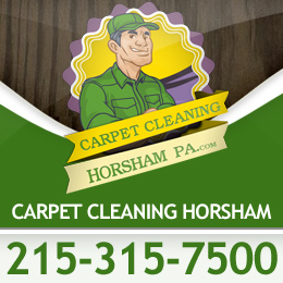 Image for Carpet Cleaning Horsham with ID of: 658003