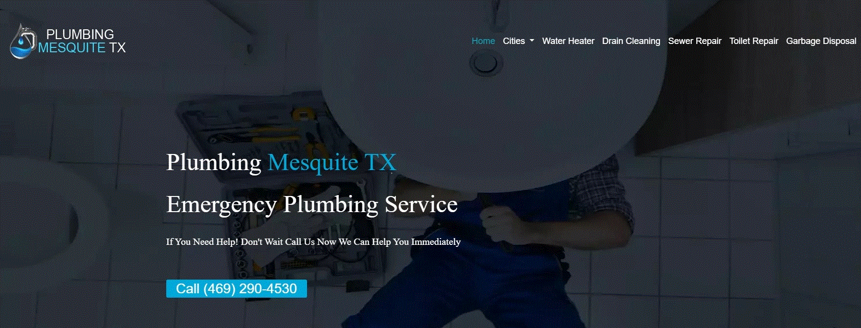 Image for Plumbing Mesquite TX Pro with ID of: 6583448