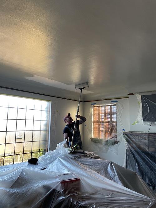 Image for Impact Painting Services with ID of: 5912548