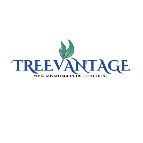 Image for TreeVantage with ID of: 6584098