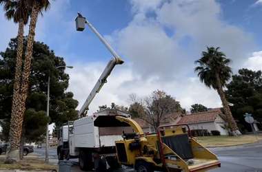 Image for A Cut Above Tree Service with ID of: 5914189