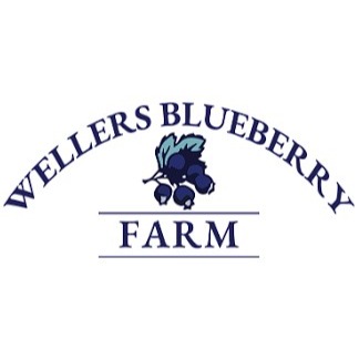 Image for Weller's Blueberry Farm with ID of: 6587239