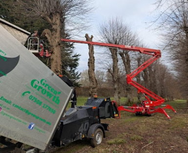 Image for Green Growth Services Ltd with ID of: 6589234