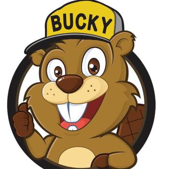 Image for Bucky's Complete Autor Repair Everett with ID of: 5921052
